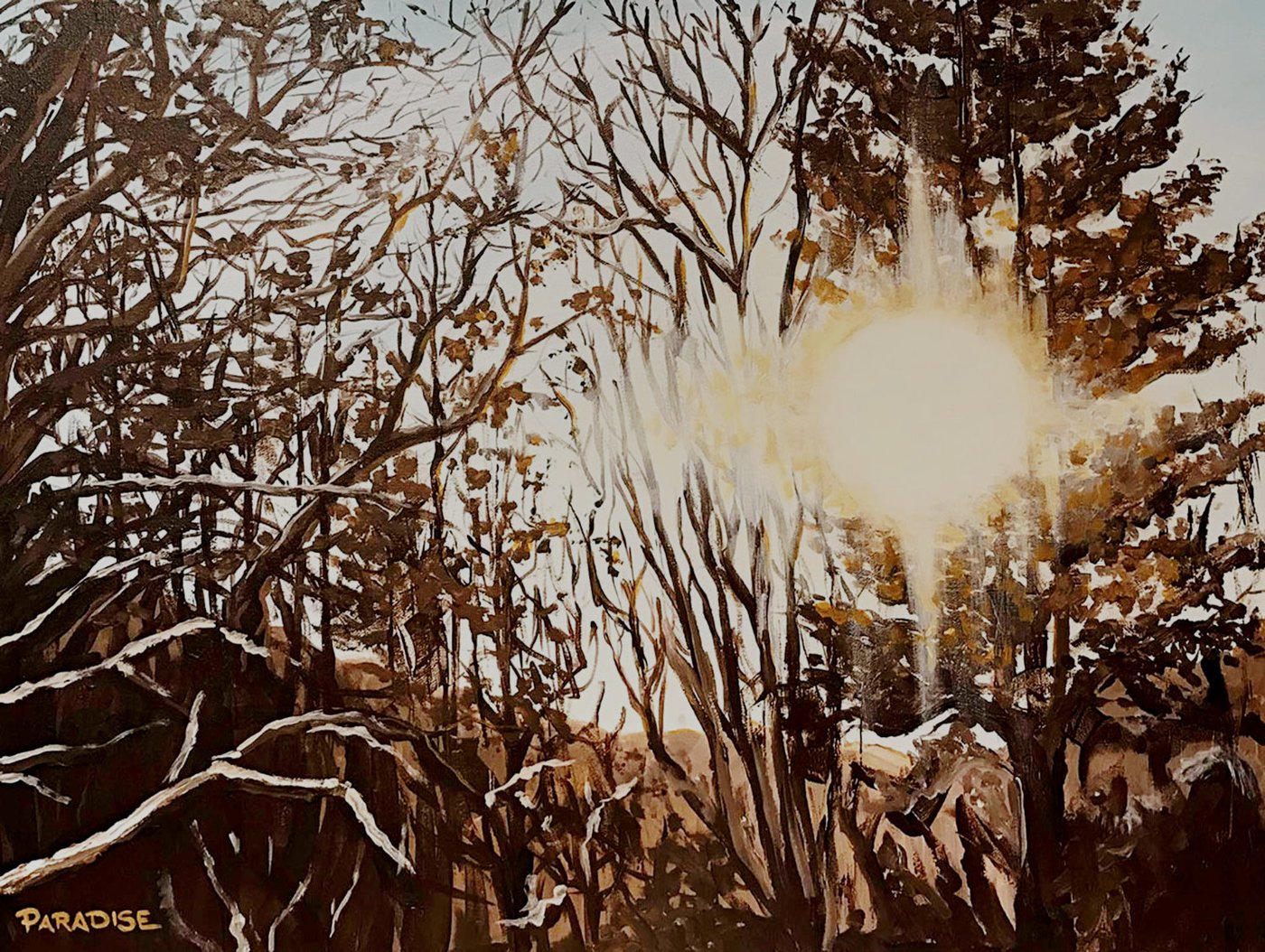 Contre-jour